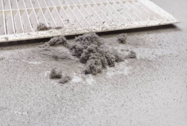Best HVAC Duct Inspection Services  in Rural Hall, NC