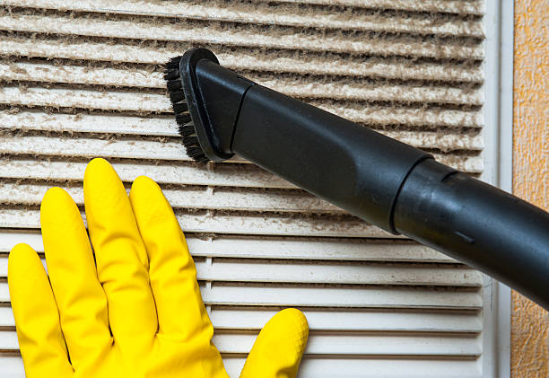 Best Air Duct Mold Removal  in Rural Hall, NC